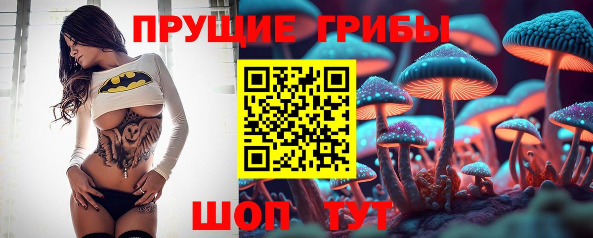 Галлюциногенные грибы Psilocybe Курчалой