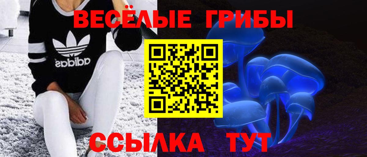 Курчалой  Галлюциногенные грибы ЛСД  Вход с VPN 